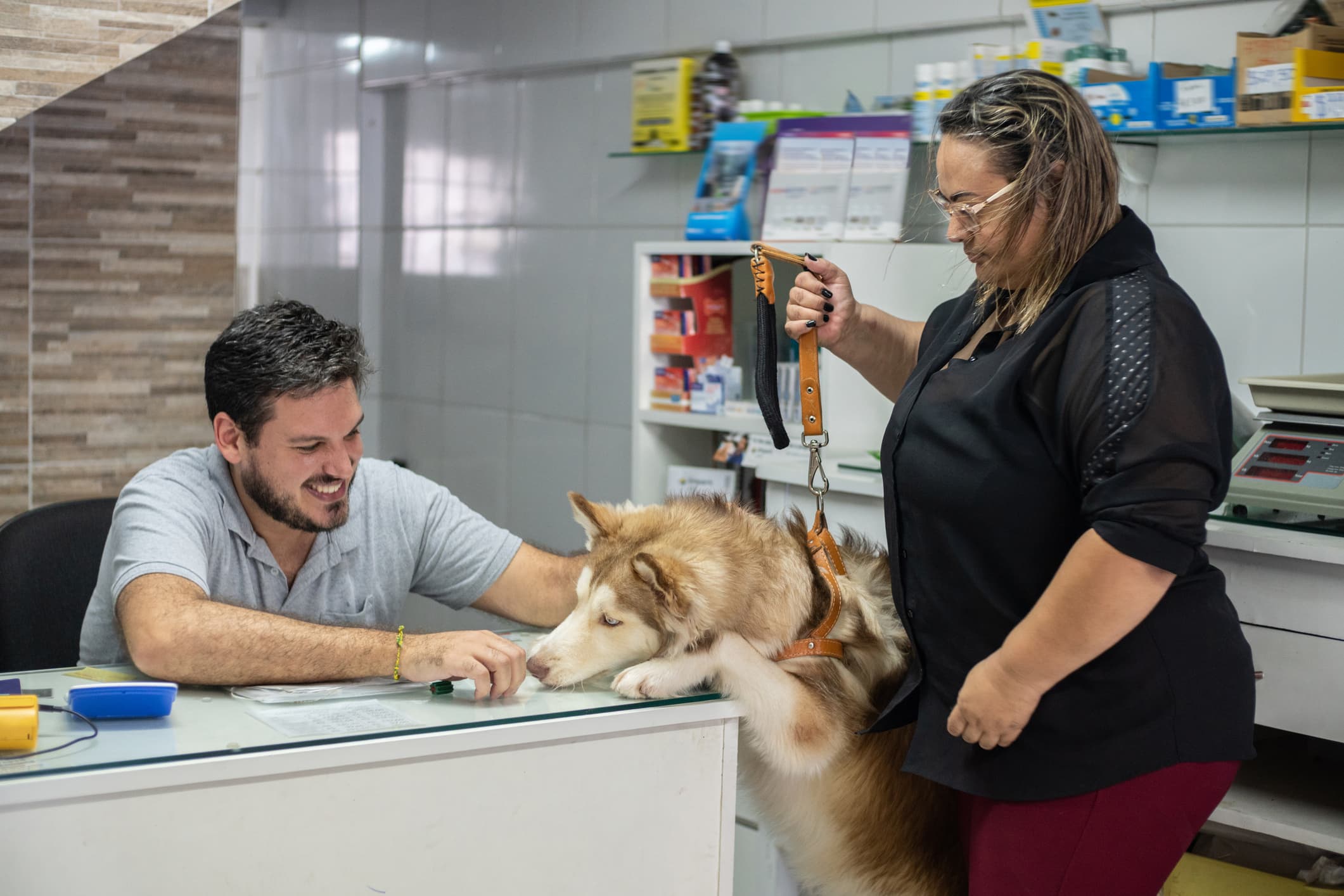 Pet grooming operations